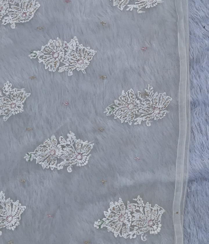AMBA White Organza Chikankari Kurta for Woman