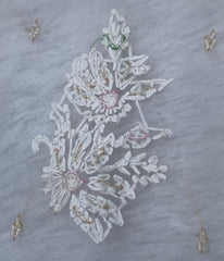AMBA White Organza Chikankari Kurti-Elegant Lucknowi Chikankari for Women
