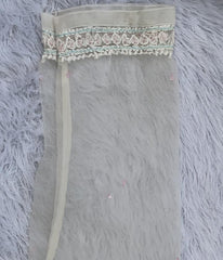 AMBA White Organza Chikankari Kurti-Elegant Lucknowi Chikankari for Women